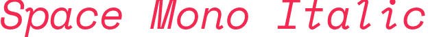 Space Mono Italic